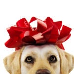 Regalar animales es cosificarles como si se tratasen de un objeto