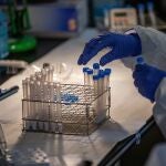 Profesionales sanitarios realizan test antígenos masivos de detección de la COVID-19 en el recinto modernista del Hospital de Sant Pau.