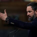 El líder de Vox, Santiago Abascal