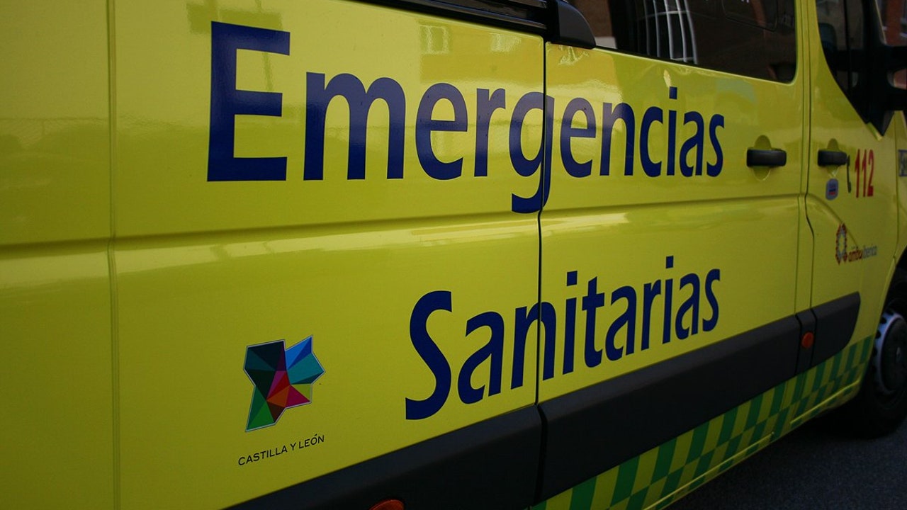 Choca con su vehículo contra un corzo en una carretera de Soria y cae a una acequia