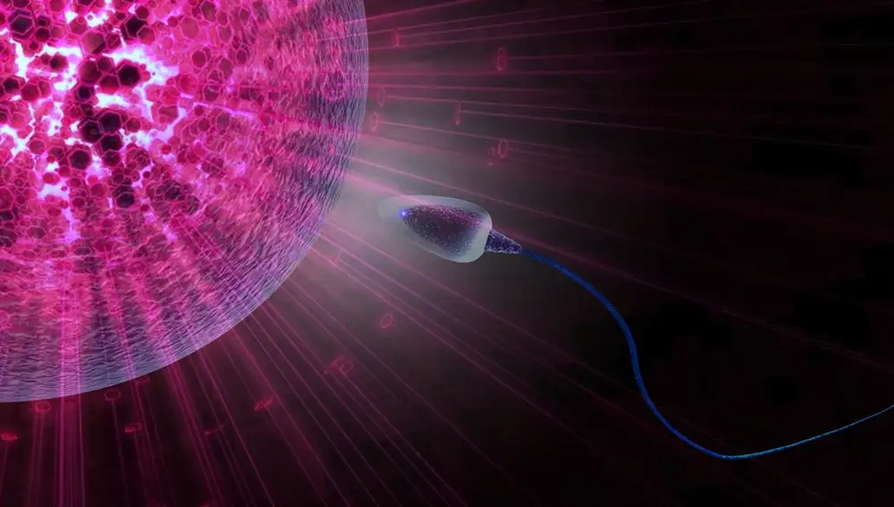 Espermatozoide acercándose a un óvulo