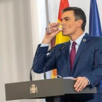 R/P de Pedro Sánchez para rendir cuentas sobre su Gobierno durante el año 2020