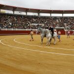 Plaza de toros de Morón