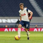 Harry Winks con el Tottenham.