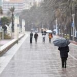 Un hombre con un paraguas se protege de la lluvia mientras pasea por el paseo marítimo de Almería.