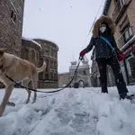 En la imagen, una persona pasea junto a su perro en Toledo | Fuente: EFE/ Ángeles Visdómine