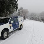 Las brigadas forestales de Divalterra ya han realizado entregas de medicinas en la comarca de los Serranos, ante los problemas de suministro por las dificultades en las comunicacionesDIPUTACIÓN DE VALENCIA09/01/2021
