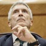 El ministro del Interior, Fernando Grande-Marlaska