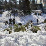 Militares del Ejército de Tierra limpian el acceso de entrada al Hospital Gregorio Marañón, en Madrid