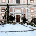 Aspecto que presenta este lunes la Plaza de Santiago en Madrid, con varios árboles caídos