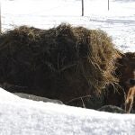 Sosas de Laciana (León) , zona afectada por el temporal de nieve y frío