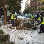 Unidades Distritales de Colaboración, en Centro, trabajan en una zona donde se encuentran varias ramas caídas en las aceras