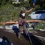 Desperfectos ocasionados por el temporal Filomena en la capital. Numerosos árboles han sido dañados por el temporal ocasionado riesgo de desprendimiento de ramas pudiendo ocasionar daños en las personas y vehículos que se encuentran aparcados en las calles.