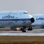 Aviones de Lufthansa en el aeropuerto de Fráncfort