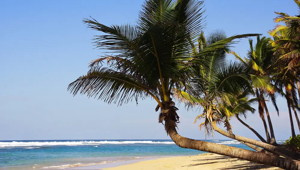 Punta Cana ofrece al viajero algunas de las playas más espectaculares de todo el mundo.
