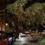 Las pérdidas por los desastres naturales siguen aumentado
