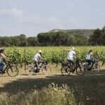 Ruta del Vino de Ribera de Duero