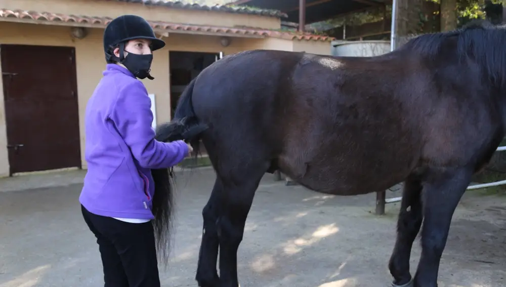 La rehabilitación emocional a través de la hipoterapia se basa en la interacción entre el niño y el caballo