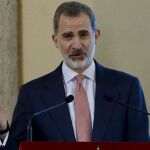 El rey Felipe VI en un acto este mes de enero