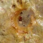 Una de las huellas de pisadas de neandertales halladas en Matalascañas