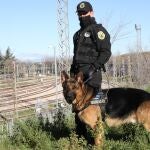 Metro de Madrid contrata a Security Dogs para frenar los actos vandálicos en sus trenes