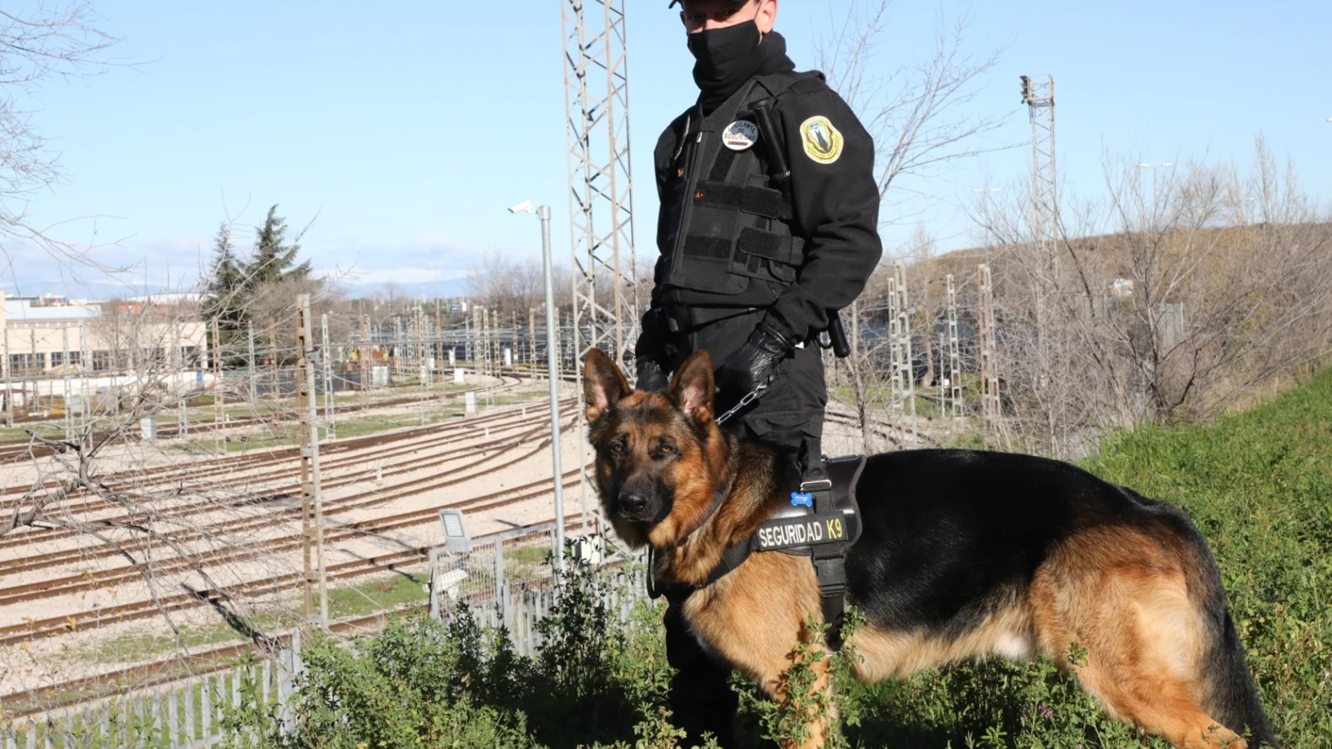 Metro de Madrid contrata a Security Dogs para frenar los actos vandálicos en sus trenes