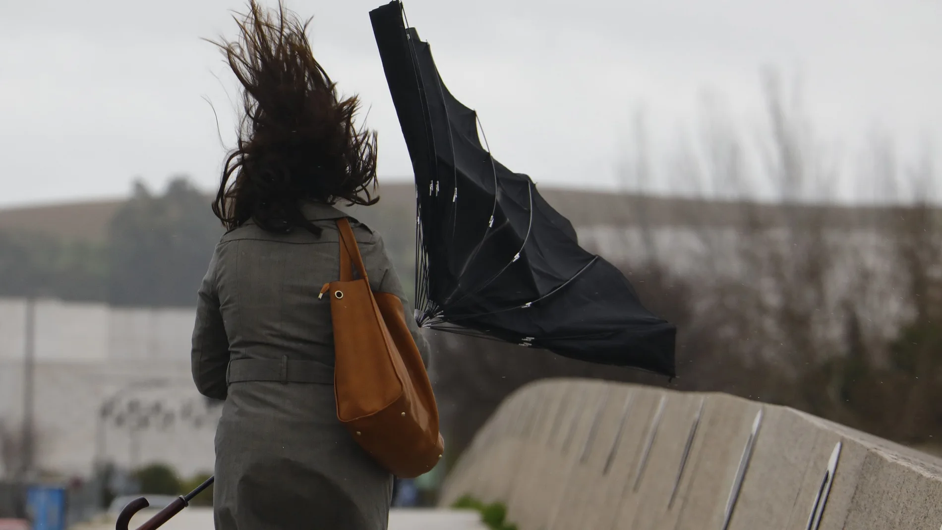 Hay alerta por viento en varias provincias andaluzas..EFE/Salas