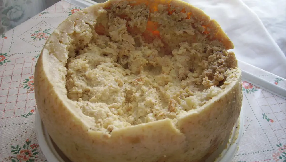 Casu Marzu.