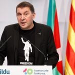 El coordinador general de EH Bildu, Arnaldo Otegi, ha conseguido que el TC suspenda de forma cautelar su juicio pendiente