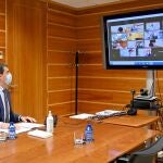 El consejero de la Presidencia, Ángel Ibáñez, preside el Consejo Regional Agrario de forma telemática