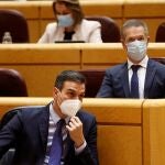 El presidente del Gobierno, Pedro Sánchez, durante su intervención en la sesión de control al Gobierno, esta tarde en el Senado