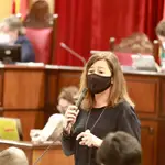 Lo de Armengol como síntoma