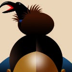 Democracia asimétrica