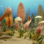 Diorama de la biota ediacárica exhibido en el Smithsonian, EEUU.