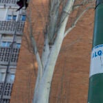 Anuncio de un alquiler en una farola