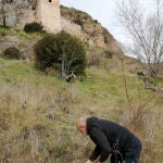 Foto de archivo de plantación de almendros 