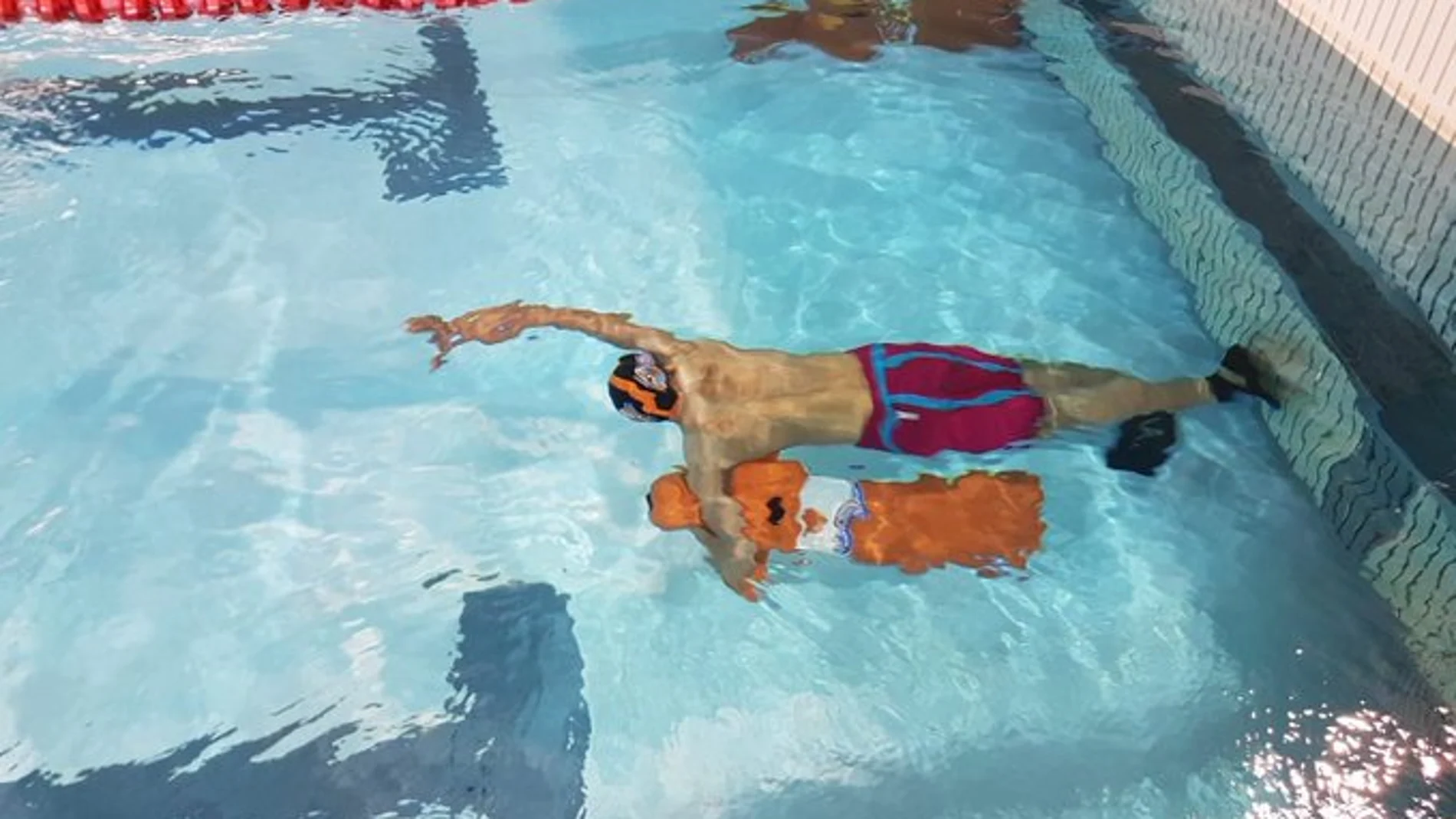 La Piscina Río Esgueva acogió este fin de semana la V Copa de España de Piscina de Salvamento y Socorrismo
