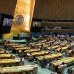 Asamblea General de la ONU