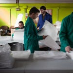 Centro Especial de Empleo de Soria