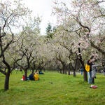 Será que ha llegado la primavera