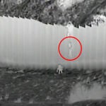 Momento en que las dos niñas son lanzadas por un traficante en la frontera con EEUU