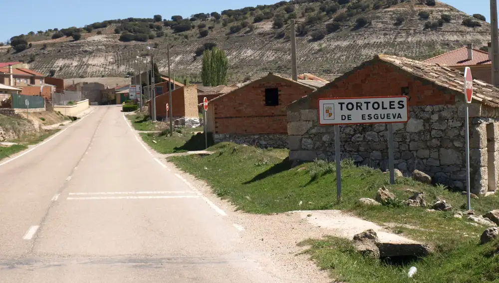 Tórtoles de esgueva (Burgos)