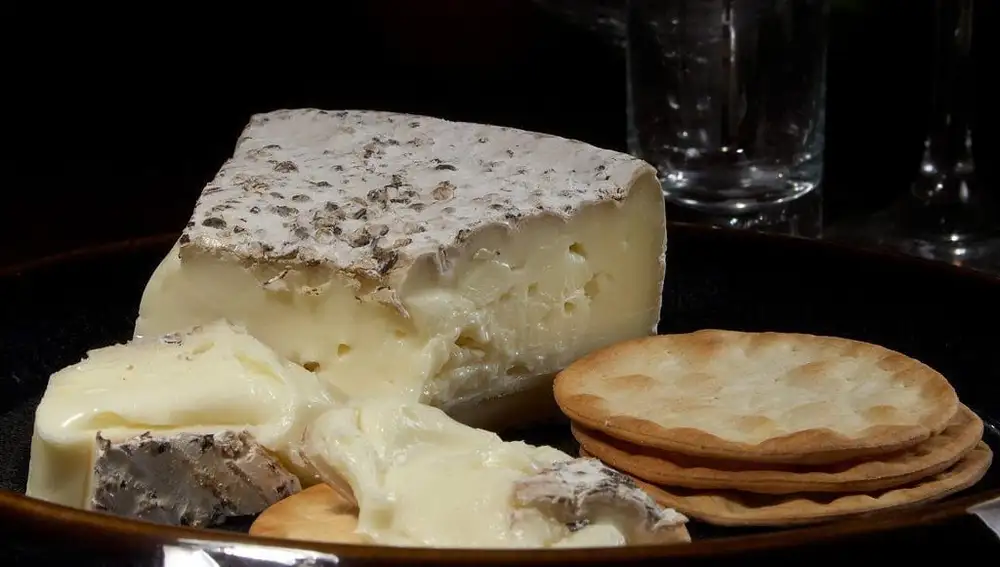 Queso Pule