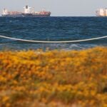 Tres buques portacontenedores fondean ante la playa de El Saler, al sur del Puerto de Valencia