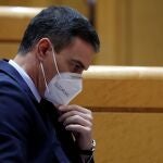El presidente del Gobierno, Pedro Sánchez, durante una sesión de control al Gobierno en el Senado