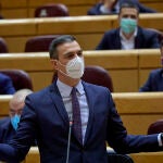 El presidente del Gobierno, Pedro Sánchez, interviene durante una sesión de control al Gobierno en el Senado