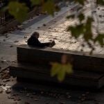 Un hombre pensionista lee un periódico sentado en un banco de la Plaza Nueva en Sevilla