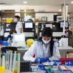 Una investigadora trabaja en el laboratorio de Microbiología del Hospital Universitario de Badajoz