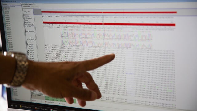 El Consorcio Lucia, integrado por la UVa, Sacyl e Itacyl, supera las 30.000 secuenciaciones de COVID-19