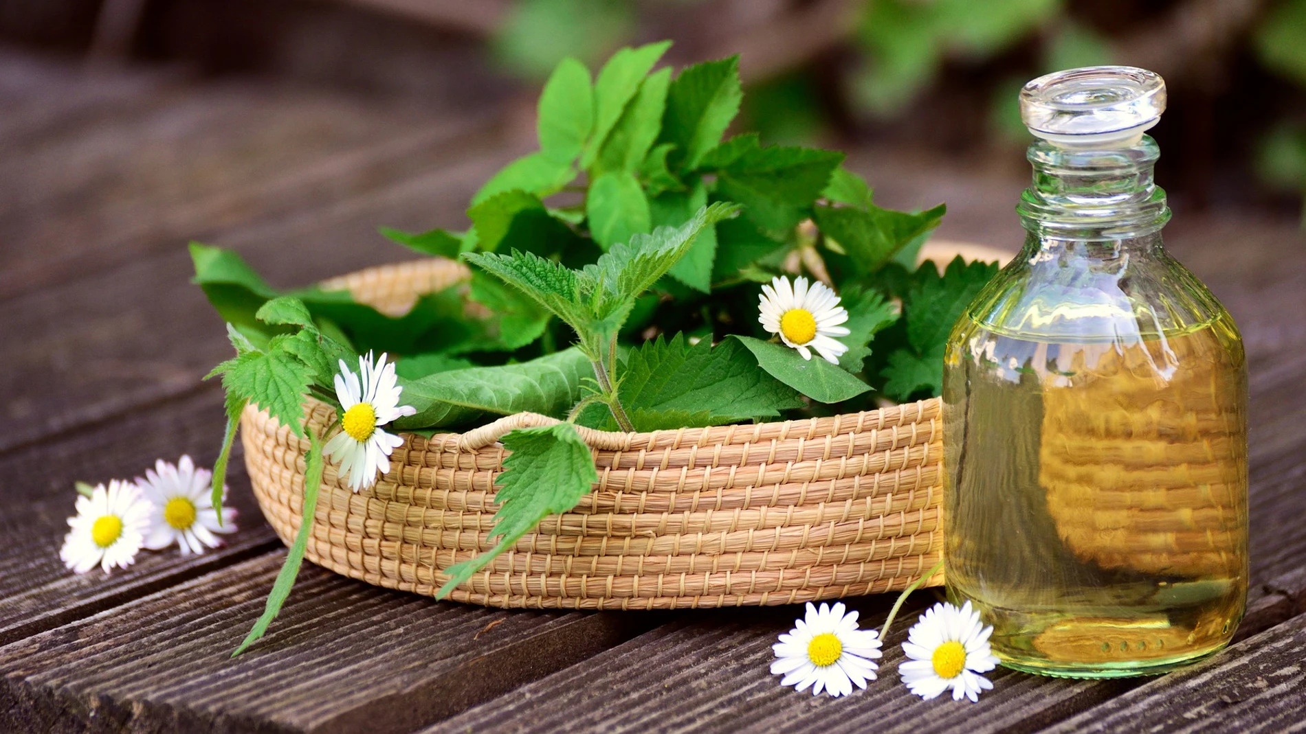 Las infusiones naturales son en ocasiones muy buenos remedios ante los problemas de salud.